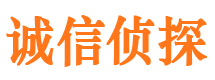 新野侦探